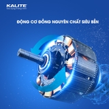 Máy xay sinh tố KALITE KLB630 3 cối xay động cơ đồng nguyên chất - Ảnh 6